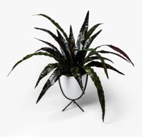 Faux Plant in White Pot Tabletop Arrangement - Project 62