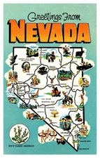 Greetings From Nevada Illustrated Map State Flower Sagebrush Postcard AE15