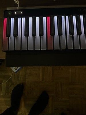 Roli Piano M Keyboard für Creators