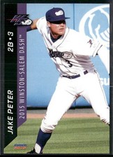 Jake Peter 2015 Winston Salem Dash Team Set Card