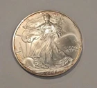 2005 American Silver Eagle 1 Oz . Gem Brilliant Uncirculated Dollar Coin*