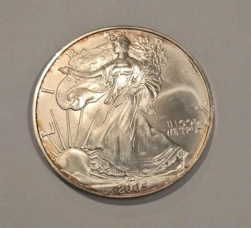 2005 American Silver Eagle 1 Oz . Gem Brilliant Uncirculated Dollar Coin*