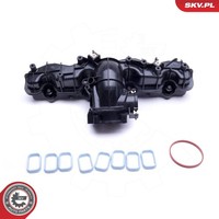 Esen SKV Saugrohrmodul 49SKV033 FüR CitroËN Ford Land Rover Peugeot