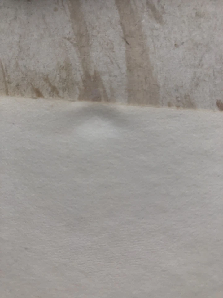 menu BIERE Brasserie du Pêcheur Pin Up Sig Chesnot No Brenot 2 - Photo 3/4