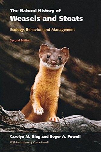 The Natural History of Weasels and Stoats: Ecol. King, Powell, Powell<|