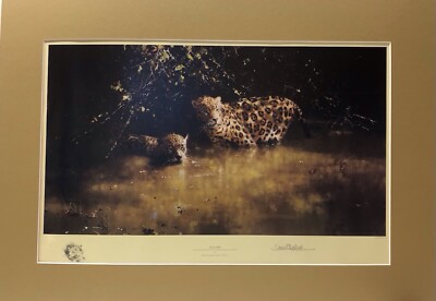 ''Jaguare'' von David Shepherd