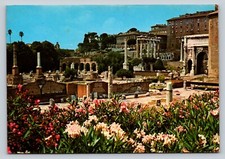 c1982 Roman Forum ROME Italy 4x6  Vintage Postcard 0205