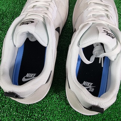 nike sb alleyoop skate review