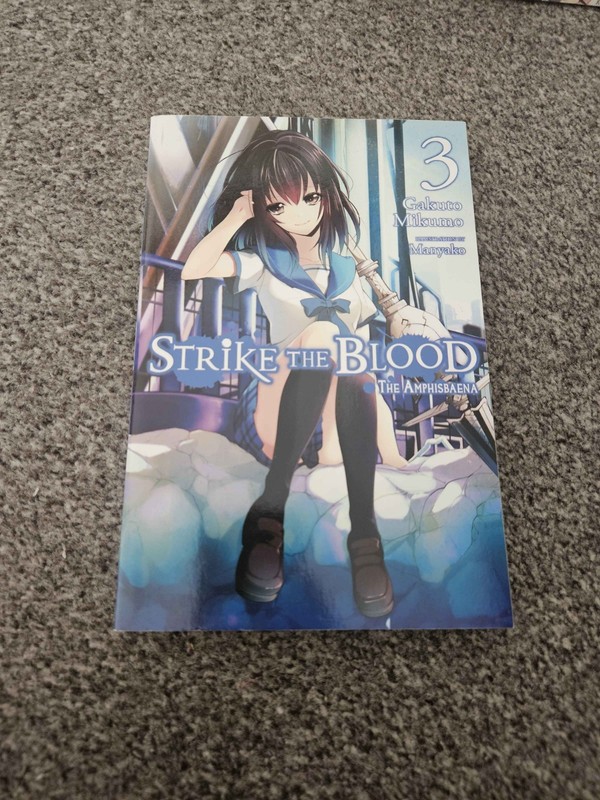Strike The Blood Light Novel Vol 3