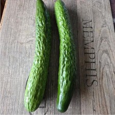 2 x Salatgurke Gurke Deko Attrappen 24cm Dekoration Kunstobst Gem&uuml;se Fake gr&uuml;n