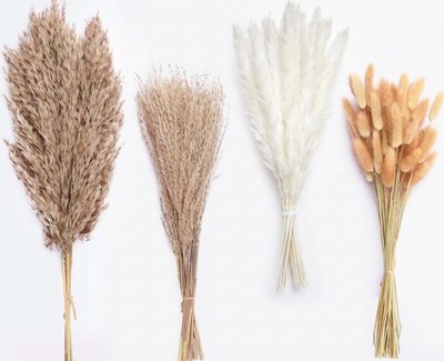 100 Stems Dried Pampas Grass, Boho Table Decor Natural Reed Phragmites Grass,...