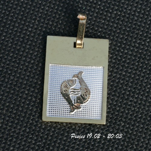 12 Horóscopo Astrología Carta del Zodiaco Signo de Nacimiento Plata, Colgante Enchapado en Oro Regalo - Imagen 24 de 24