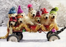 Puppies Wearing Winter Hats on Wagon Box of 10 Cute Dogs Christmas Cards