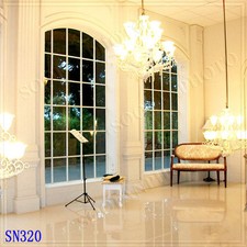 Indoor 10'x10' Computer-painted CP Scenic Photo Background Backdrop SN320B881