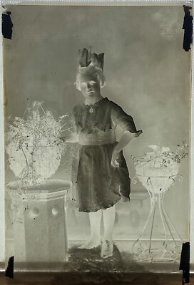 Antique Glass Photo Camera Negative Victorian Girl Posing Large Bow Floral Plant