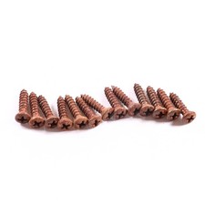 AGP Aged Relic Phillips Head Pickguard Screws for Tele and Strat-Style Guitars