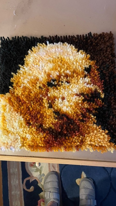 Latch Hook Art, Finished , Dog, 12 X12