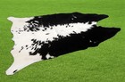 100% New Cowhide Rugs Area Cow Skin Leather (45" x 45") Cow hide SA-2642 — photo 1