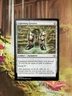 Lightning Greaves NM Eng MTG - Commander Anthology