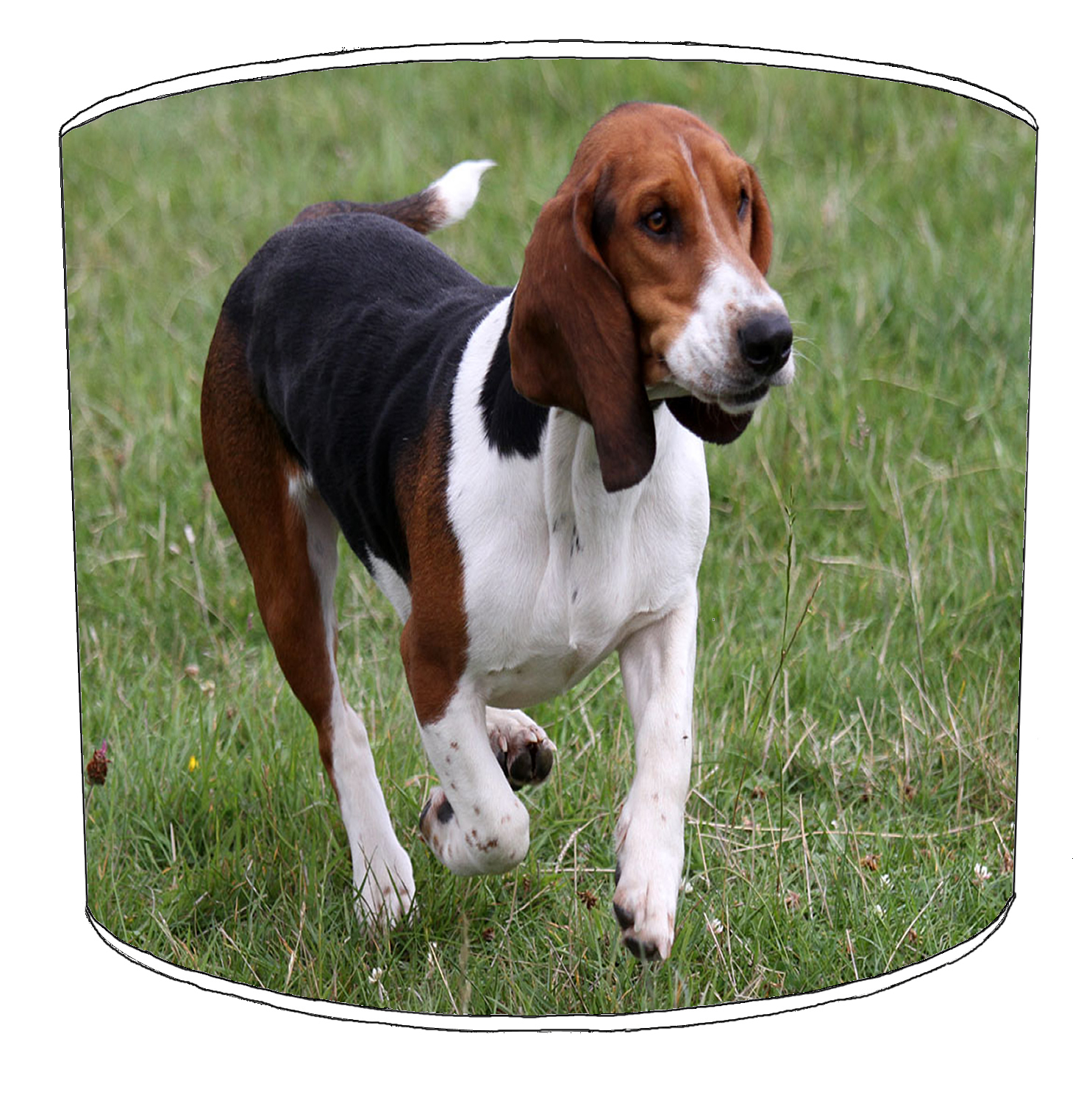 Working PISTOLA cani MODELLI MODELLI MODELLI Paralumi ideale per Working cani Adesivi da parete 60ac41 Working PISTOLA cani MODELLI MODELLI MODELLI Paralumi ideale per Working cani Adesivi da parete 60ac41