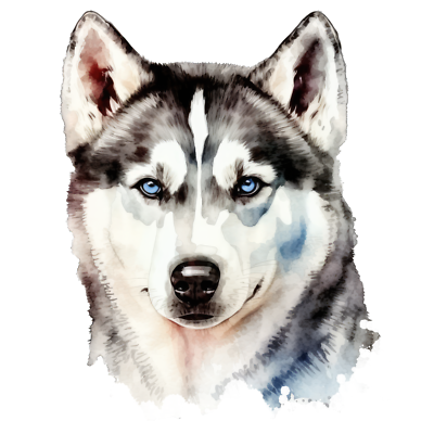 Adesivo per amanti husky - Italia