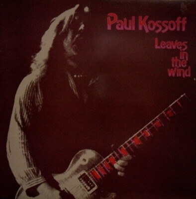 Paul Kossoff - Leaves  In The Wind / VG+ / LP, Comp