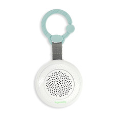 Ingenuity Pock-a-Bye Baby Soother and Bluetooth Speaker