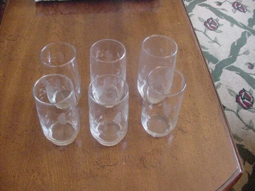 Set of 6 Princess House Heritage 5 inch Tumblers, Ex
