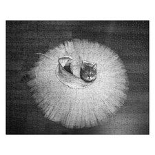 Kitty Cat Ballet Dress, Black and White Jigsaw puzzle 520 pc
