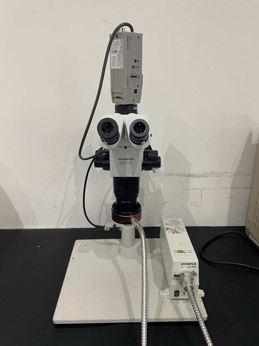 Olympus SZX12 Microscope with LG-PS2 Light Source (Eyepieces and