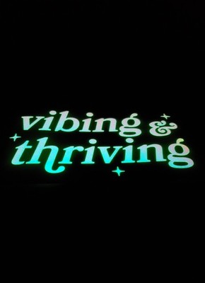 Glow In The Dark Vinyl Decals No One Cares Large Size Lit Studios New Decor