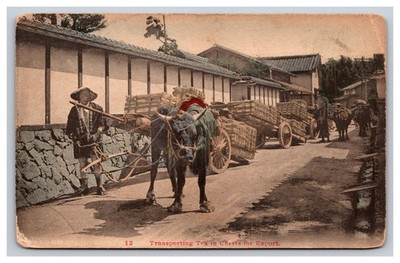 Transporting Tea In Chests For Export, Japan Postcard
