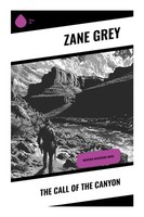Zane Grey | The Call Of The Canyon | Taschenbuch | Englisch (2023) | Sharp Ink