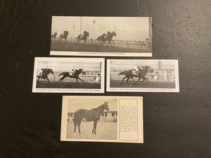 NOOR 4 Photo lot Horse Racing  CITATION