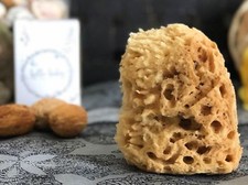 Organic Baby Bath Sea Sponge - Wool