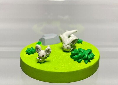 Minccino, Cinccino(H0.3