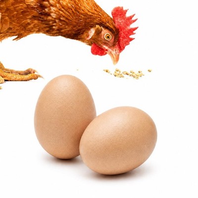 Fake Wooden Eggs for Chicken & Duck Nesting, Brown, 2 Pack