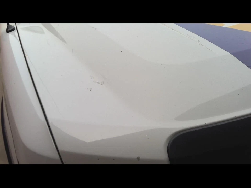 (LOCAL PICKUP ONLY) Hood Fits 09-14 FORD F150 PICKUP 697524 Foto 4 de 4