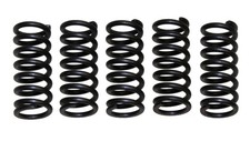 EBC Clutch Springs CSK112 Reinforced for Honda CBR 1000 RR / CB 1000 R RA