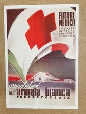 C.R.I. Fascist Propaganda Manifesto Doctors Historical Reprint Poster 35x50