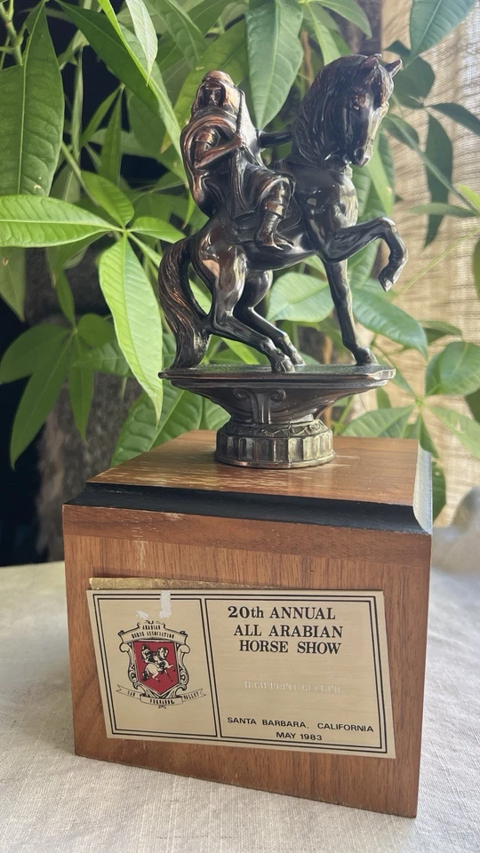 Vintage Horse Show High Point Gelding Equestrian Award Bronze Trophy 1983 - Image 3 of 4