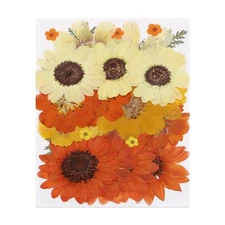 32 Pcs Dried Pressed Flower Leaves Bulk for Resin, Orange Yellow