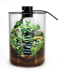 Desktop Glass Terrarium with Grow Light 7.5" H X 5.9" D - for Succulents, Moss