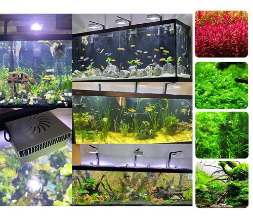 PopBloom 2ft 3ft 4ft Freshwater Aquarium LED Light Full Spectrum Plant Fish Tank - Picture 9 of 52