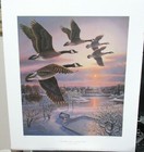 Bild 2 von 7