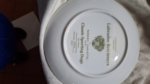 Beautiful Labrador Retriever Sporting Dogs Collectors Plate Free Postage - Picture 5 of 6