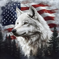 5D DIY Diamond Painting Kits for Adults, American Flag and Wolf Full Drill Embro
