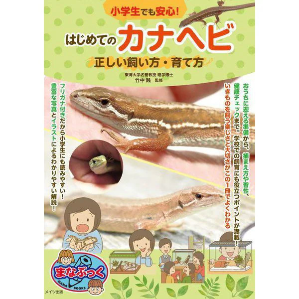 Snake Snake First Guide Safe for Kids Japan Import
