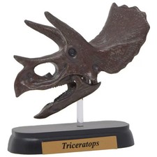 Triceratops Skull Mini Model Figure Dinosaur Collectible