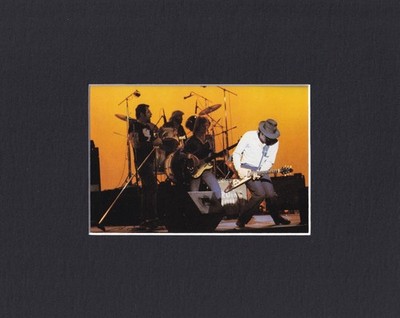 8X10'' Matted Print Picture Blues Musician: The Nighthawks, Blues Group